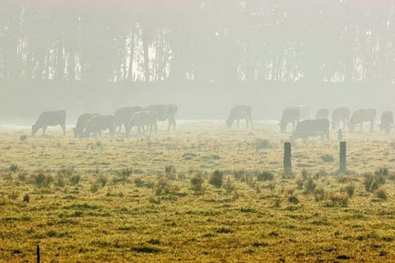 Alerta roja por riesgo de heladas en el Altiplano Cundiboyacense