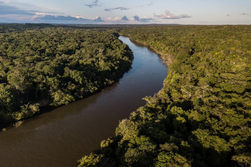 Reactivan el Fondo Amazonia en Brasil, una esperanza para conservar la selva