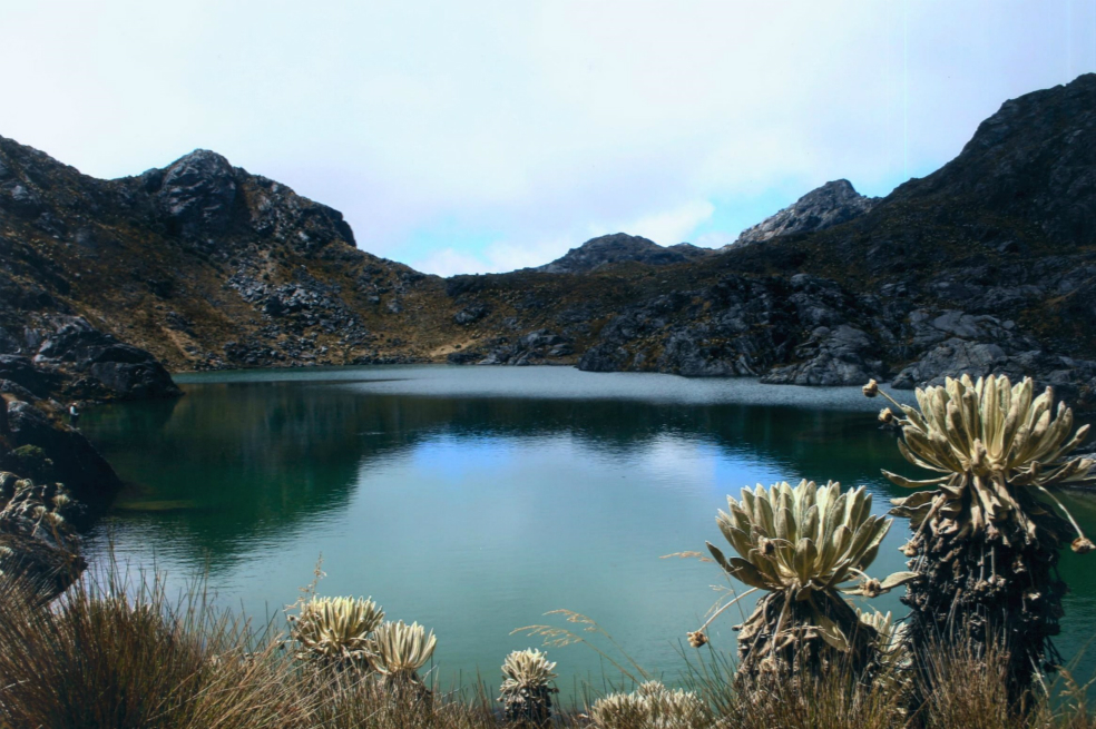Retos de la política ambiental regional para construir territorios sostenibles