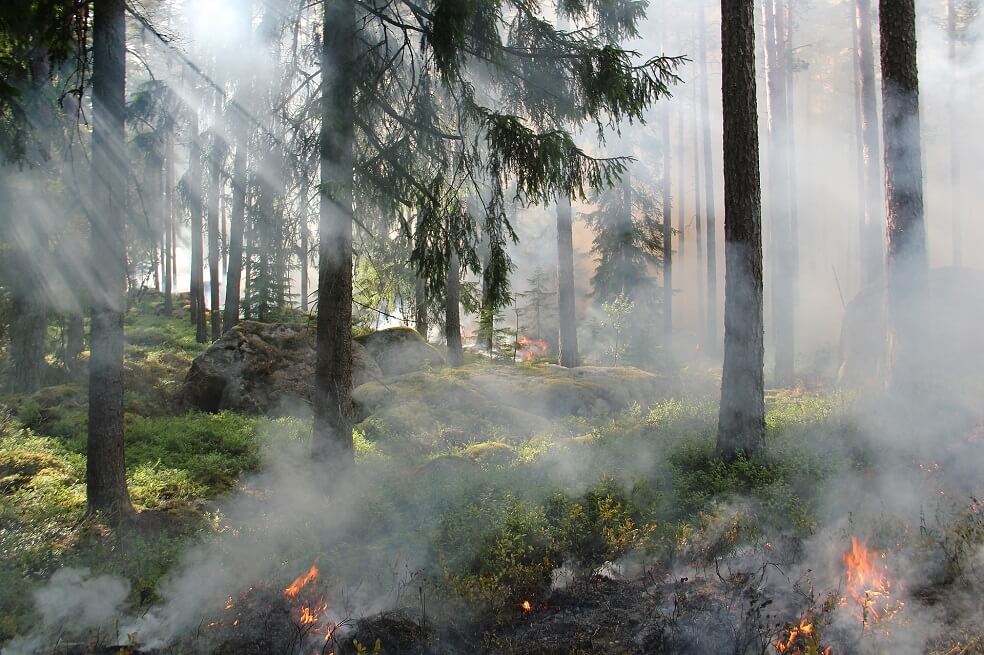 Declaran alerta roja por incendios en 22 municipios de Boyacá