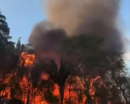 Incendio forestal en Tolima ha arrasado más de 1.500 hectáreas