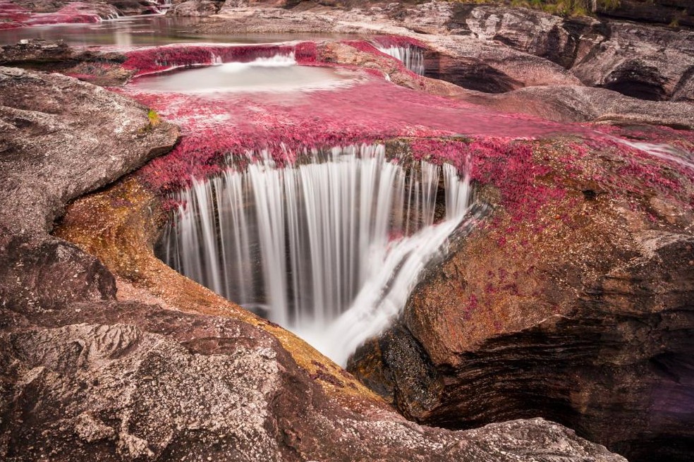 Caño Cristales, el río más bonito del mundo, brilla de nuevo tras la pandemia