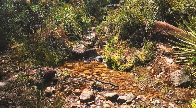  En San Cristóbal se conectará el parque lineal del río Fucha con el sendero Las Mariposas. / Archivo