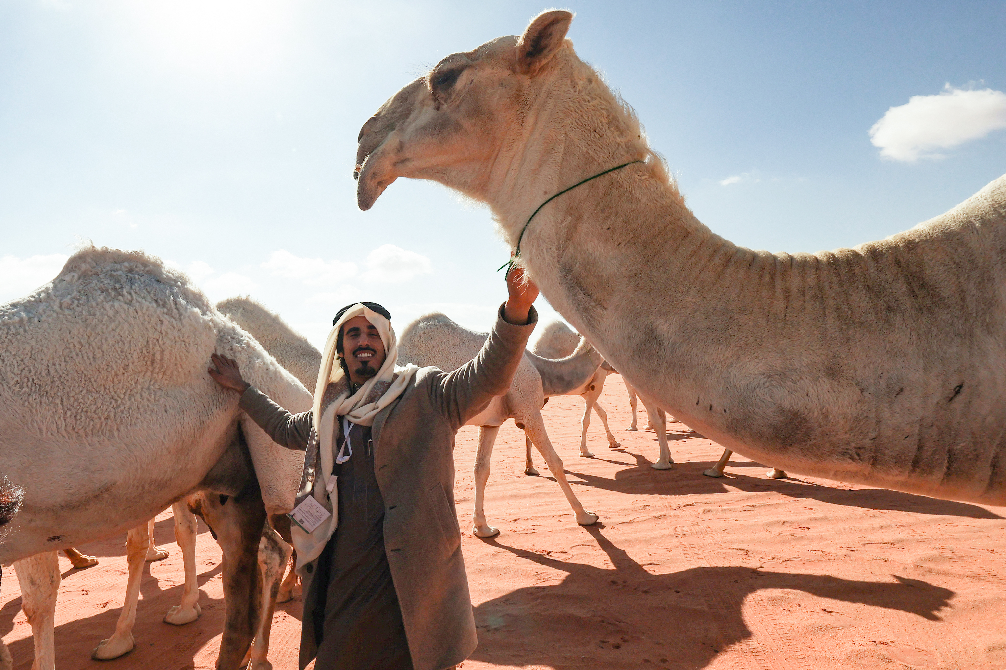 Saudi herder Mansour al-Qatula is pictured next to his animals during the annual King Abdulaziz Camel Festival in Rumah desert, northeast of the Saudi capital Riyadh, on January 10, 2023. - Qatula uses a mode of communication with camels, known as Alheda'a which was recently inscribed on UNESCO's list of intangible cultural heritage, highlighting the deep traditional connection between camels and inhabitants of the Arabian Peninsula. (Photo by Fayez Nureldine / AFP)