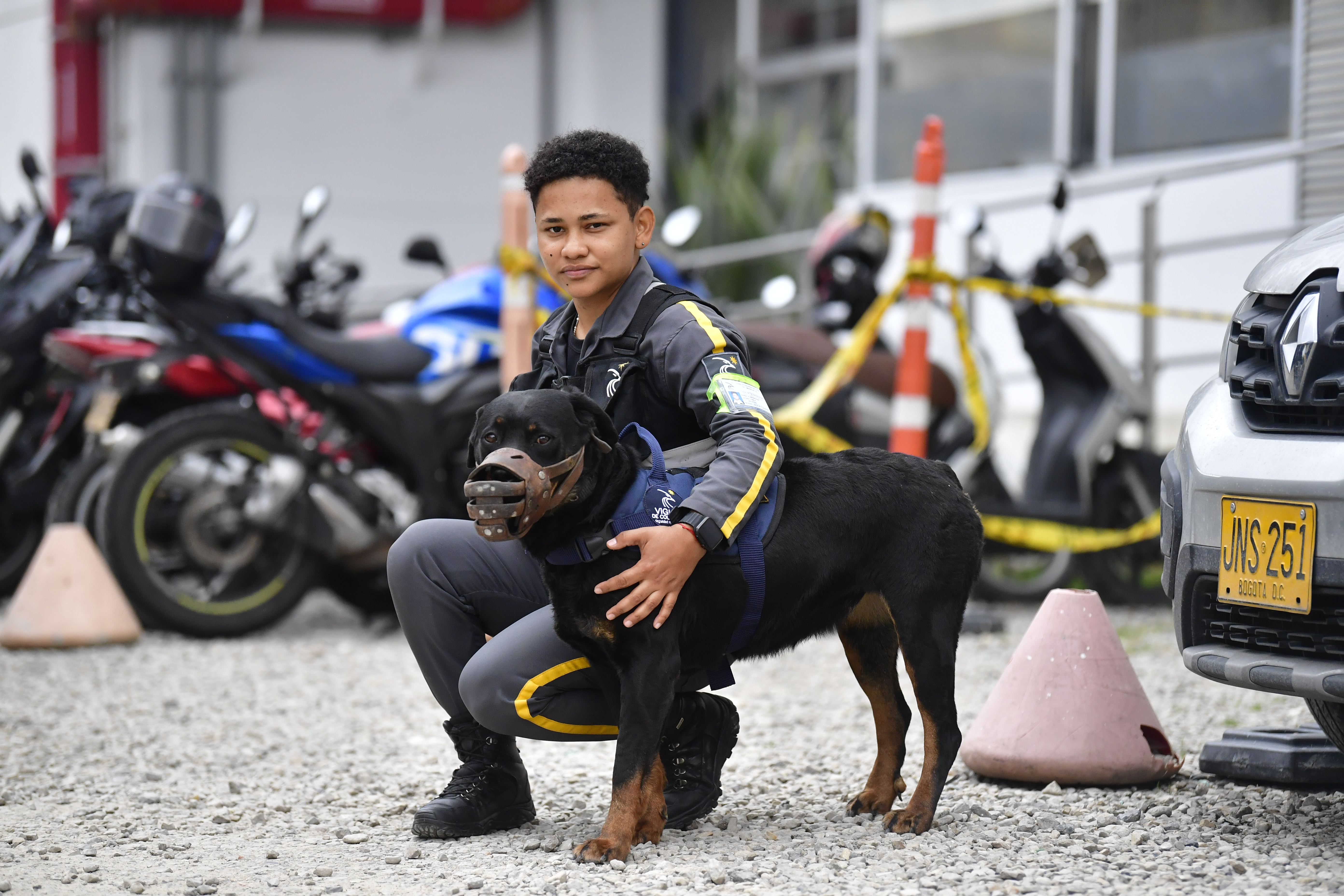 Aspectos de caninos que se encuentran al servicio de vigilancia privada