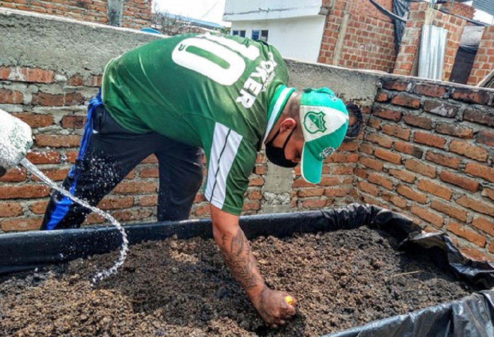 Barristas en Cali le apuestan a la seguridad alimentaria con el proyecto “Huertas por la Vida”