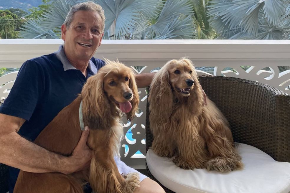 ¡Conmovedor! así reaccionaron los perritos de Dario Gómez al ver su imagen