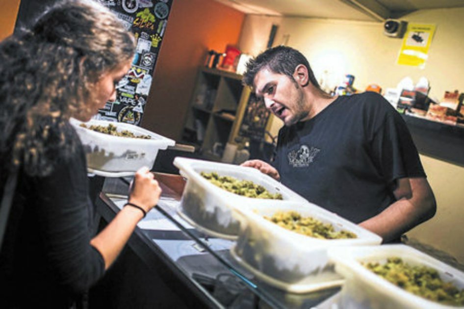 Abren en Montreal (Canadá) ocho tiendas de venta de cannabis