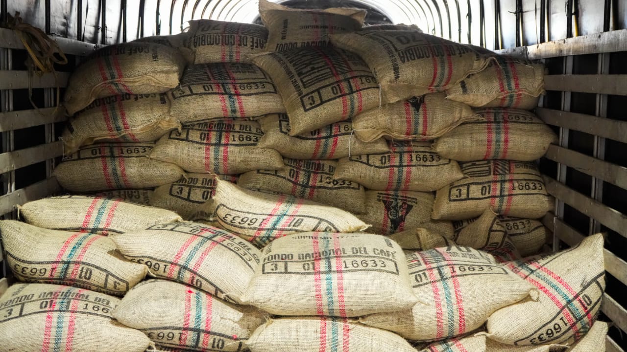 Por primera vez, el café colombiano sale al mundo desde el Urabá antioqueño