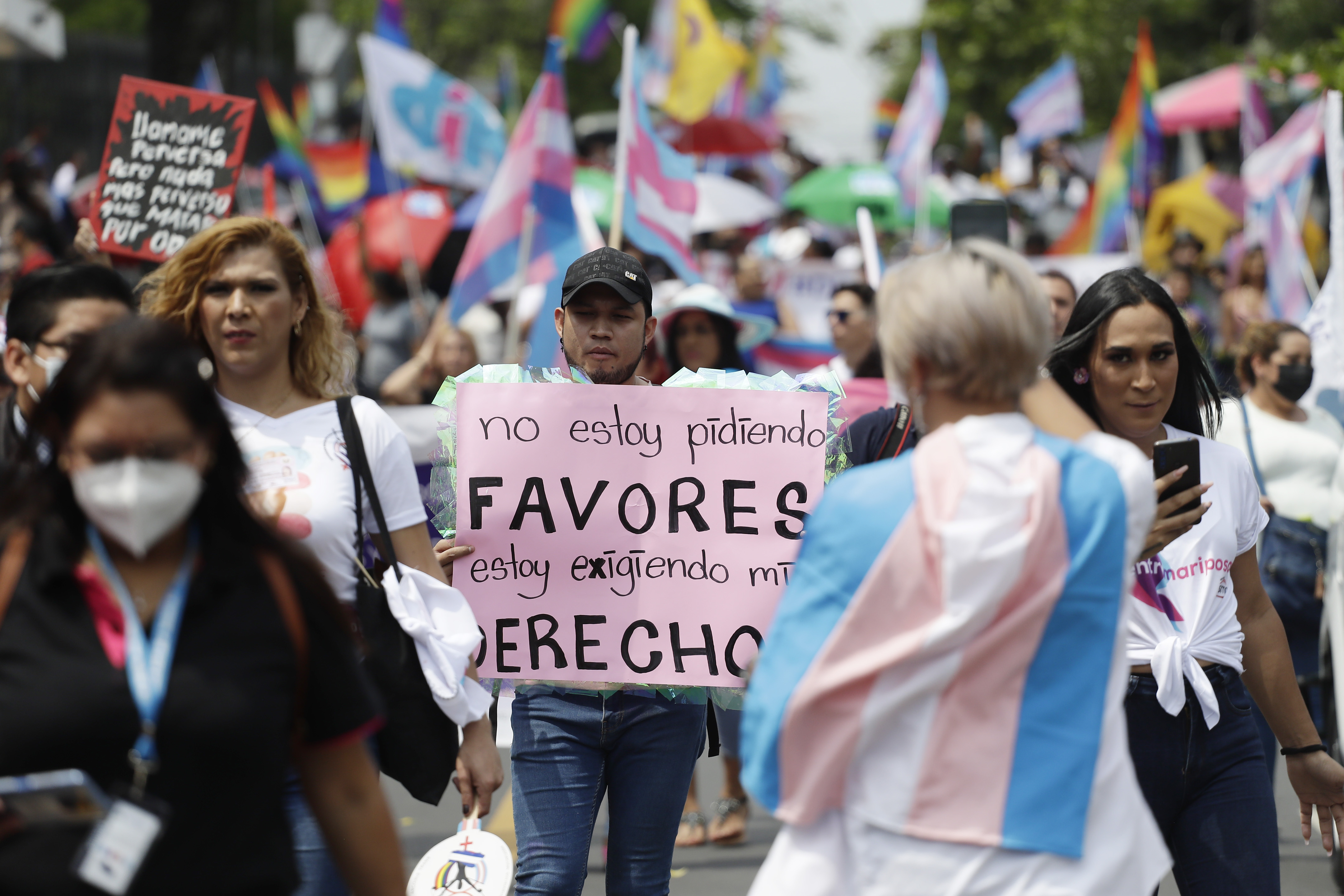 Organizaciones piden archivar proyecto que vulneraría derechos de infancias trans