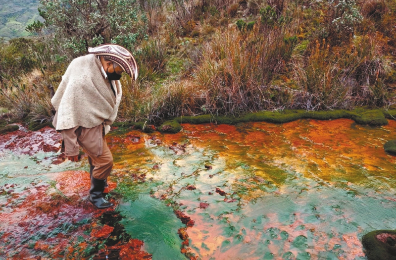 Delimitación, minería y política, ¿qué pasa con el páramo de Pisba?