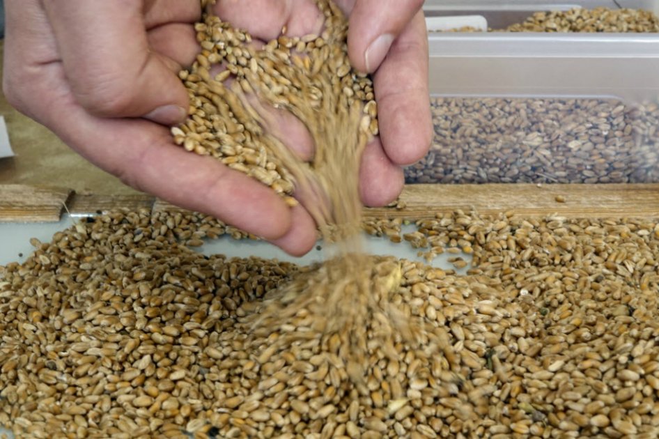Los seguros agrícolas en el mundo adquieren mayor aceptación.