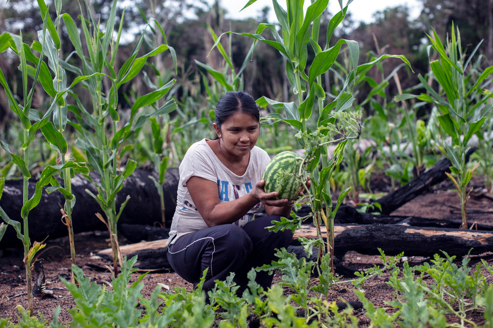 Actividades de apoyo a la agricultura y la ganadería impulsaron el empleo en el agro