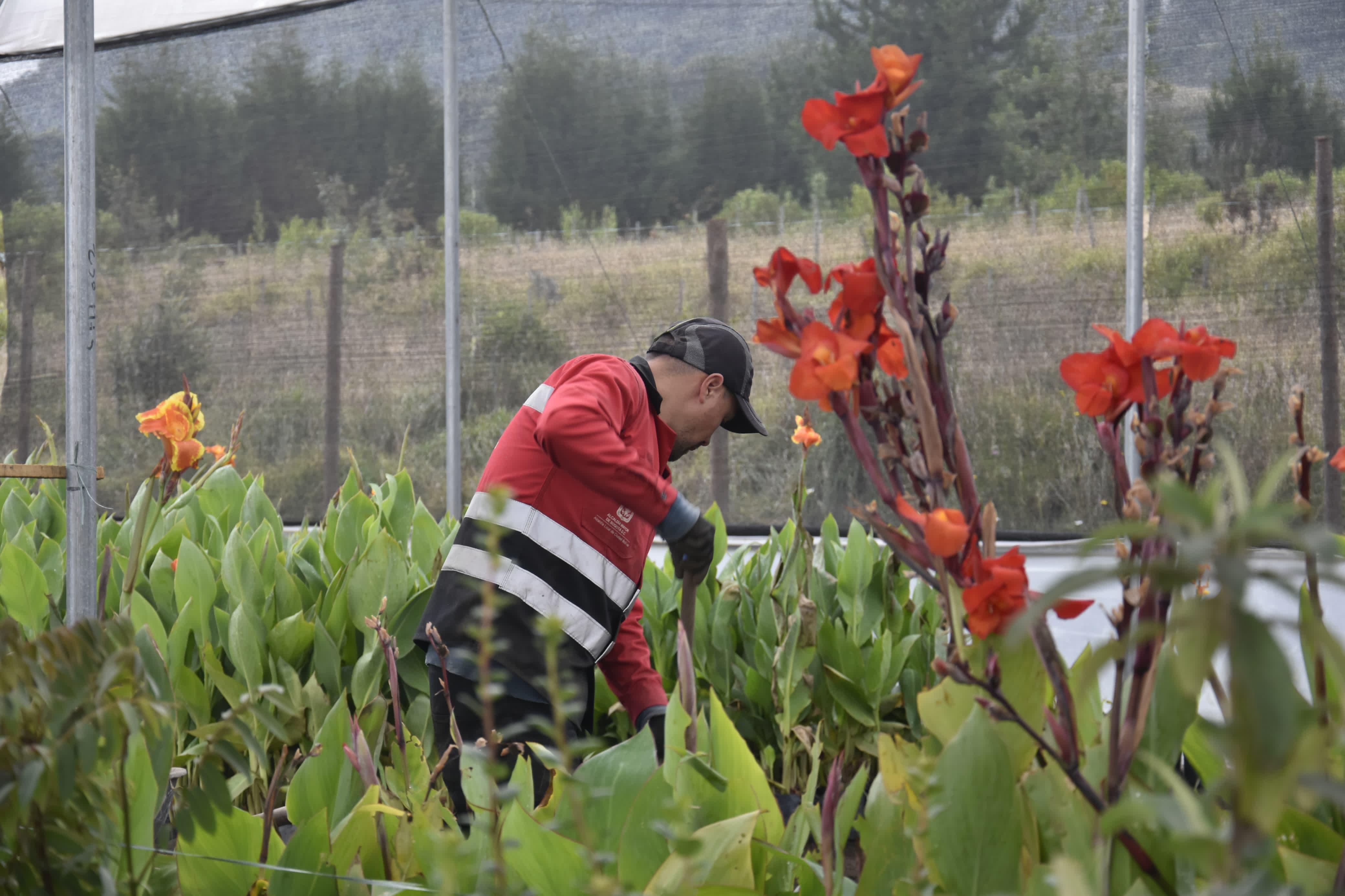 Ciudad Bolívar tiene la segunda biofábrica más grande de Bogotá