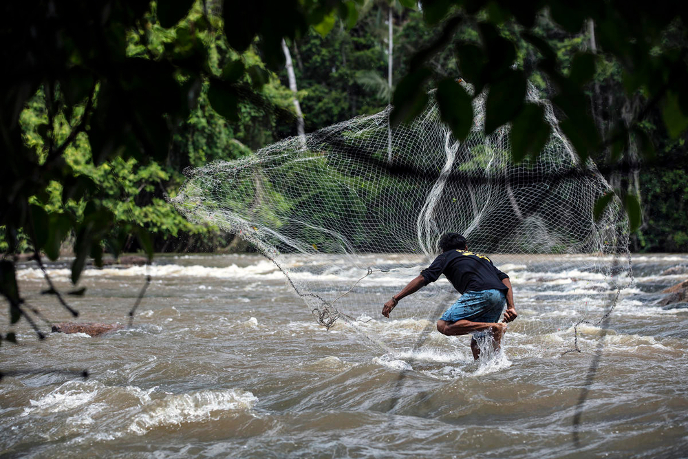 La pesca es una actividad provee ingresos a más de 60 millones de personas a nivel mundial, según la FAO. Si se practica de manera sostenible, son múltiples los beneficios para las comunidades que la practican.