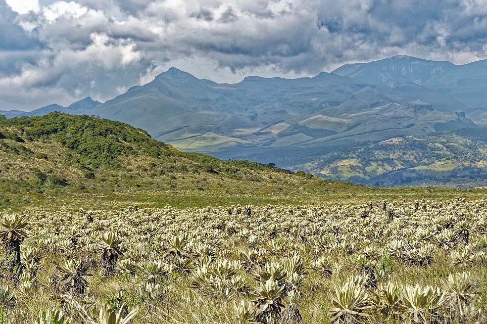 Ecoturismo: 3 parques naturales que puedes visitar cerca de Bogotá