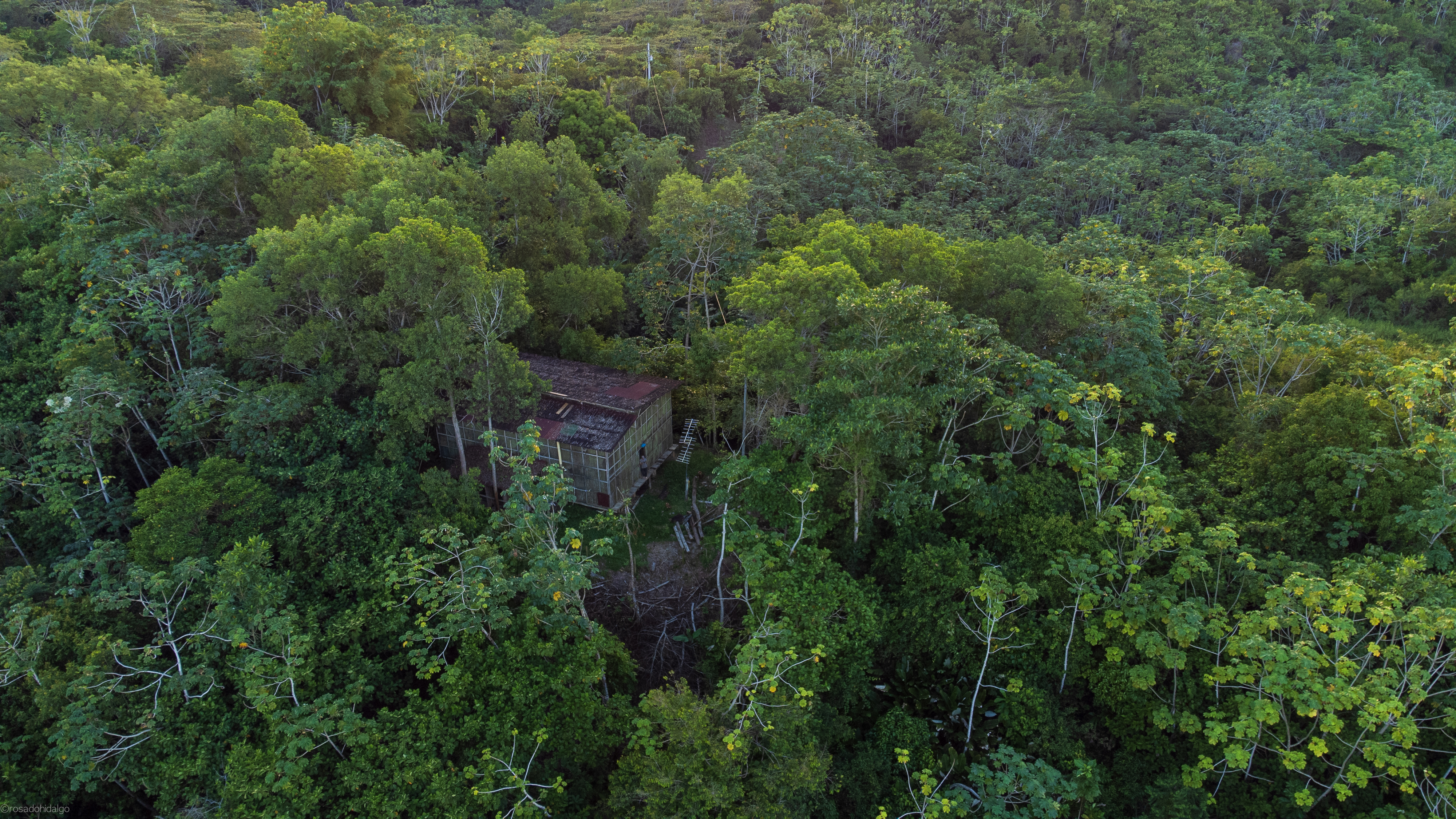 De ser "un mero potrero sin yerba", como lo define Marín, los árboles han crecido en los alrededores de la estación en el predio donde nació la reserva.
