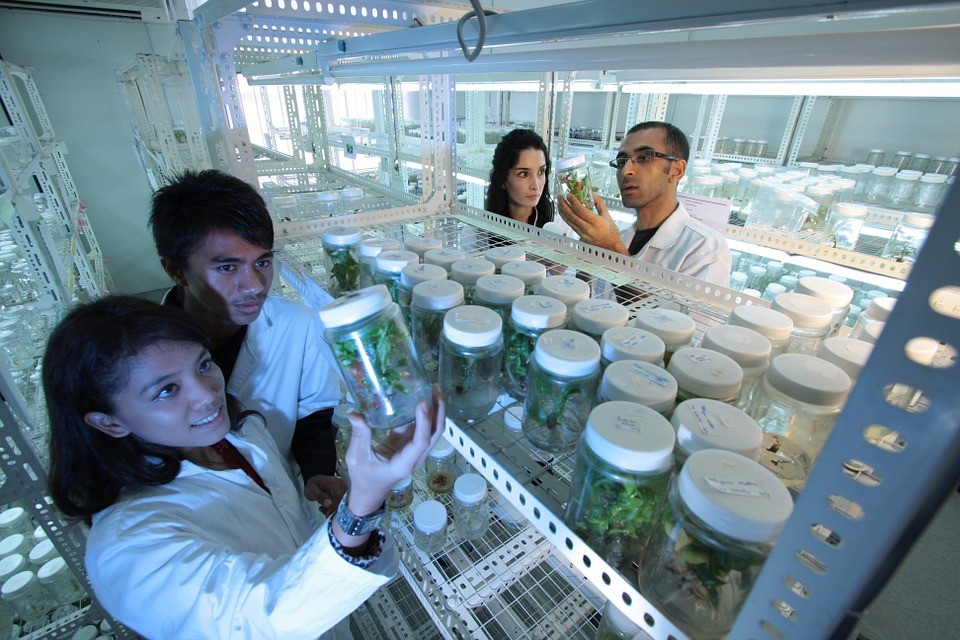 Las mujeres patentan menos inventos y más centrados en la salud femenina