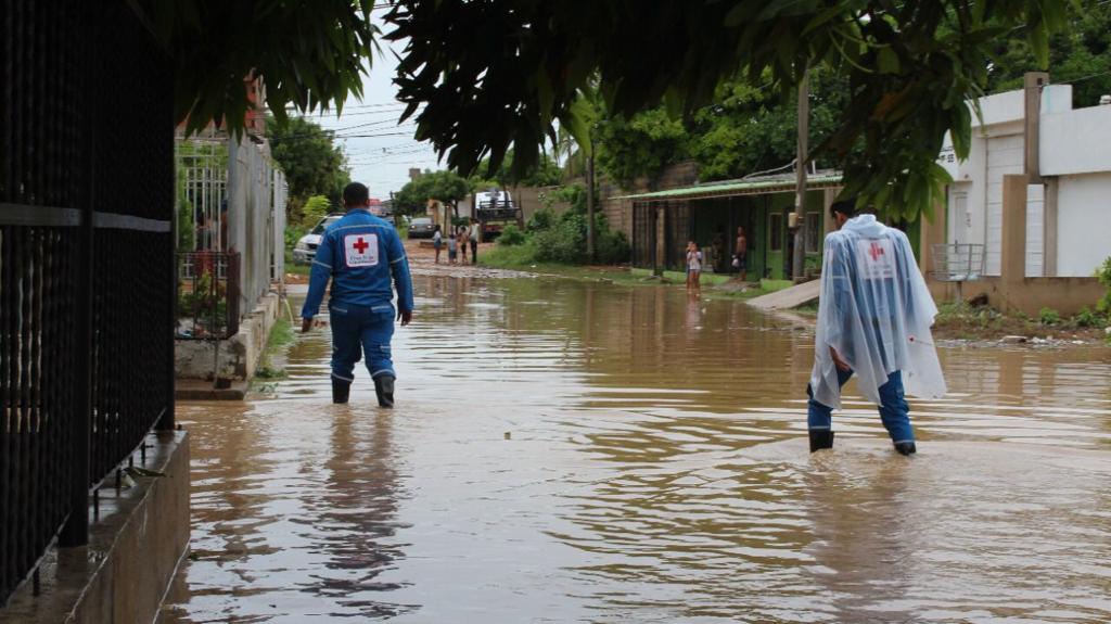 ¿Quiere apoyar a las familias damnificadas por las lluvias? Así puede hacerlo