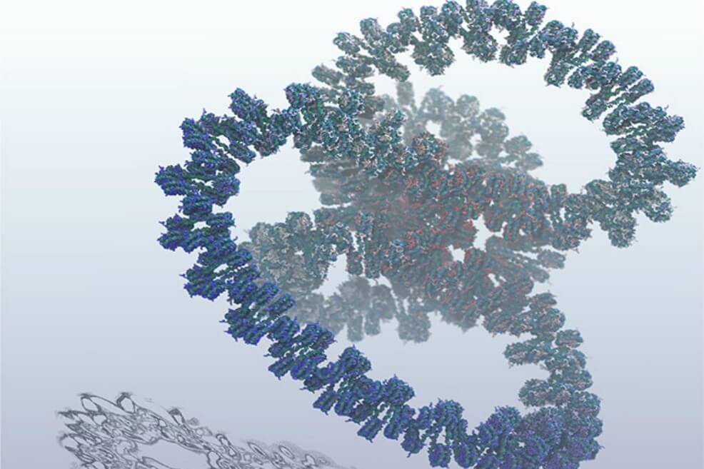 Imagen del modelo creado por los científicos del Laboratorio Nacional de Los Álamos.  / Los Alamos National Laboratory