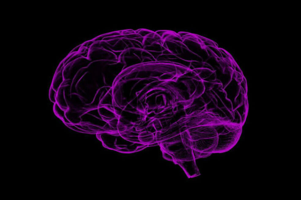Neurólogos impiden en ratones la progresión del tumor cerebral más agresivo