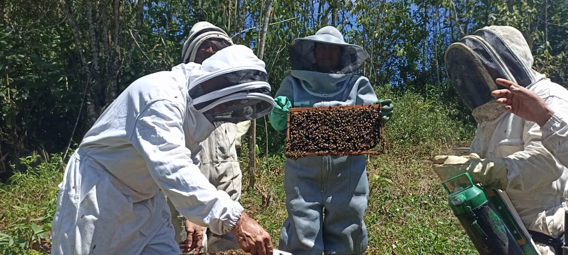 Así es como la apicultura está impulsando la conservación de la Sierra Nevada de Santa Marta
