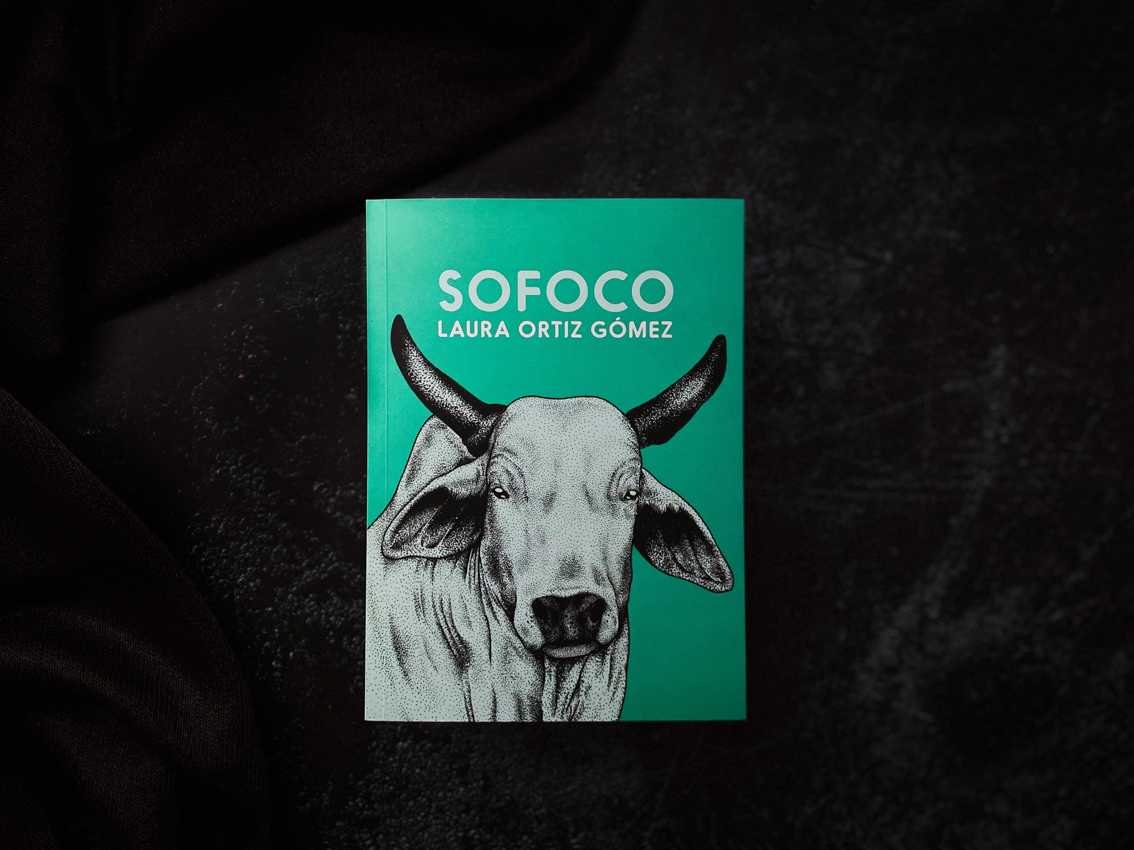 La naturaleza como un personaje, el anhelo de justicia en un país de guerras, la compasión, el olvido, la música y el caos, son algunos de los temas que recorren "Sofoco".