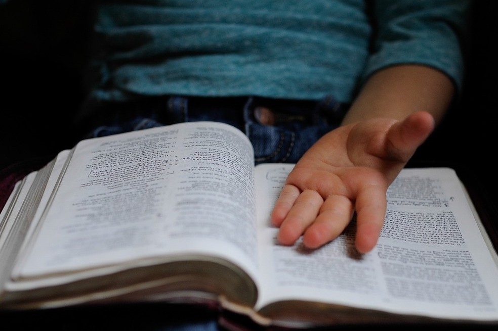 Festival de libros para niños y jóvenes gratis: programación, horarios y más