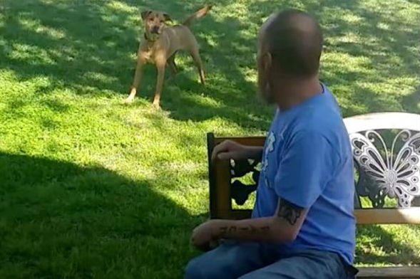 Emotiva reacción de perro que no reconoce a su dueño porque bajó 20 kilos por una enfermedad