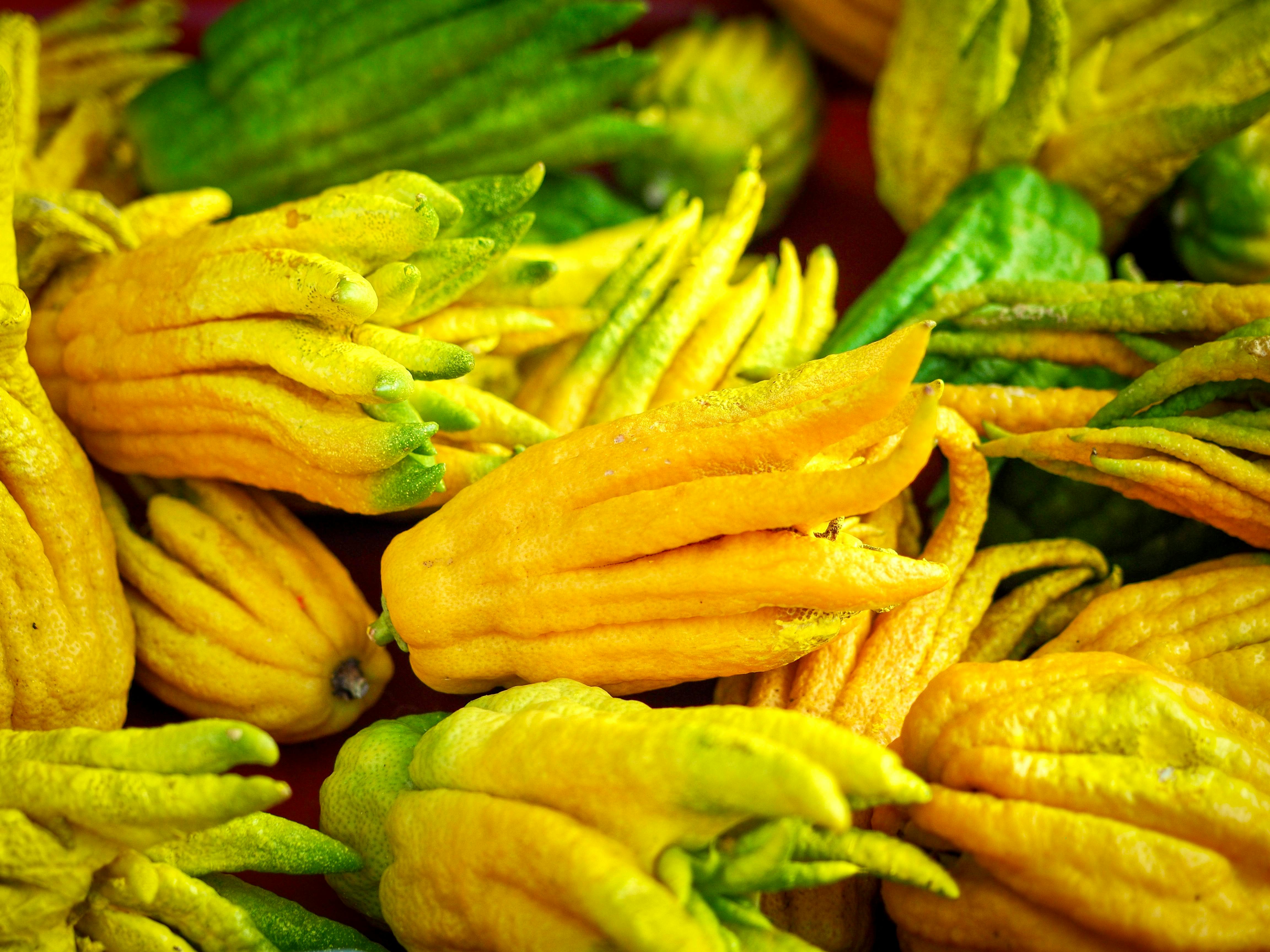 ¿Cuál es la fruta que parece una mano y dónde se consigue?