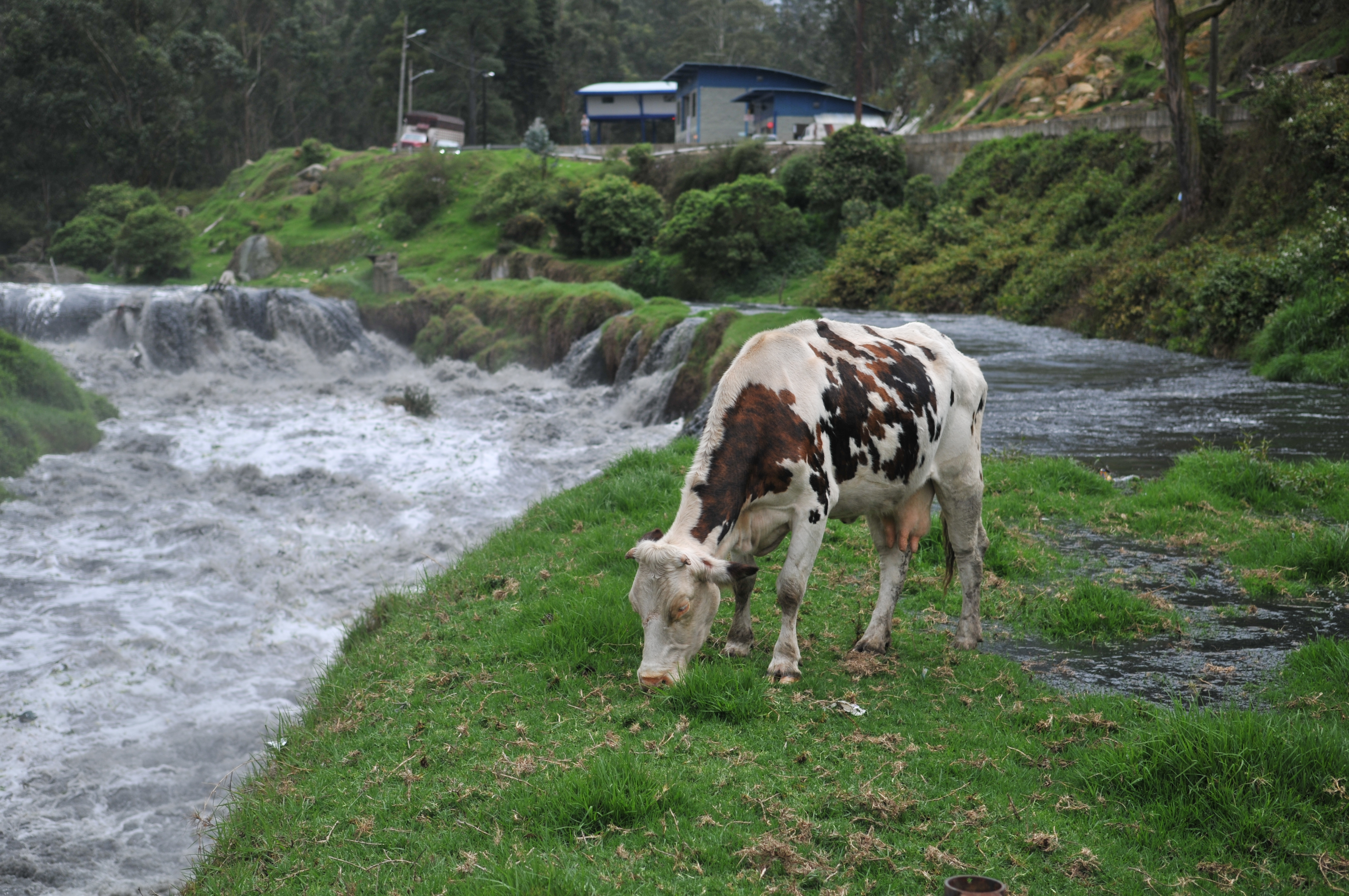 Recorrido por el este río, desde su nacimiento hasta su desembocadura en el río Magdalena.