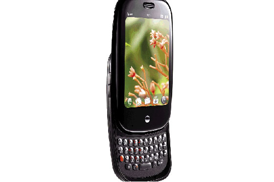 La nueva palm