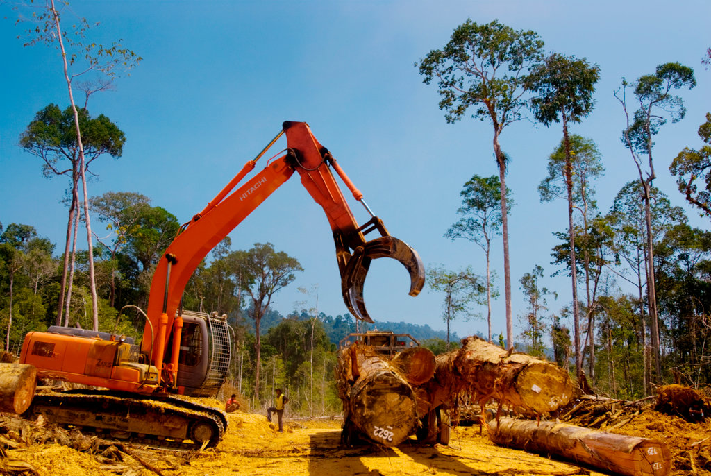 ¿En qué están los compromisos climáticos de Colombia?