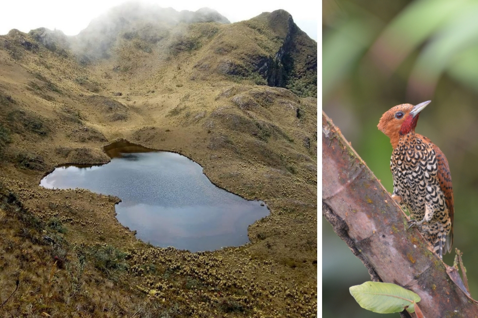 Declaran dos nuevas áreas protegidas en el Valle del Cauca