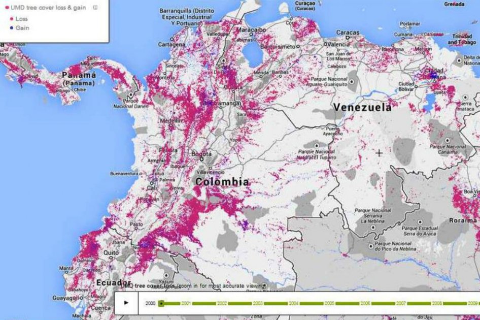Google inaugura observatorio mundial de la deforestación