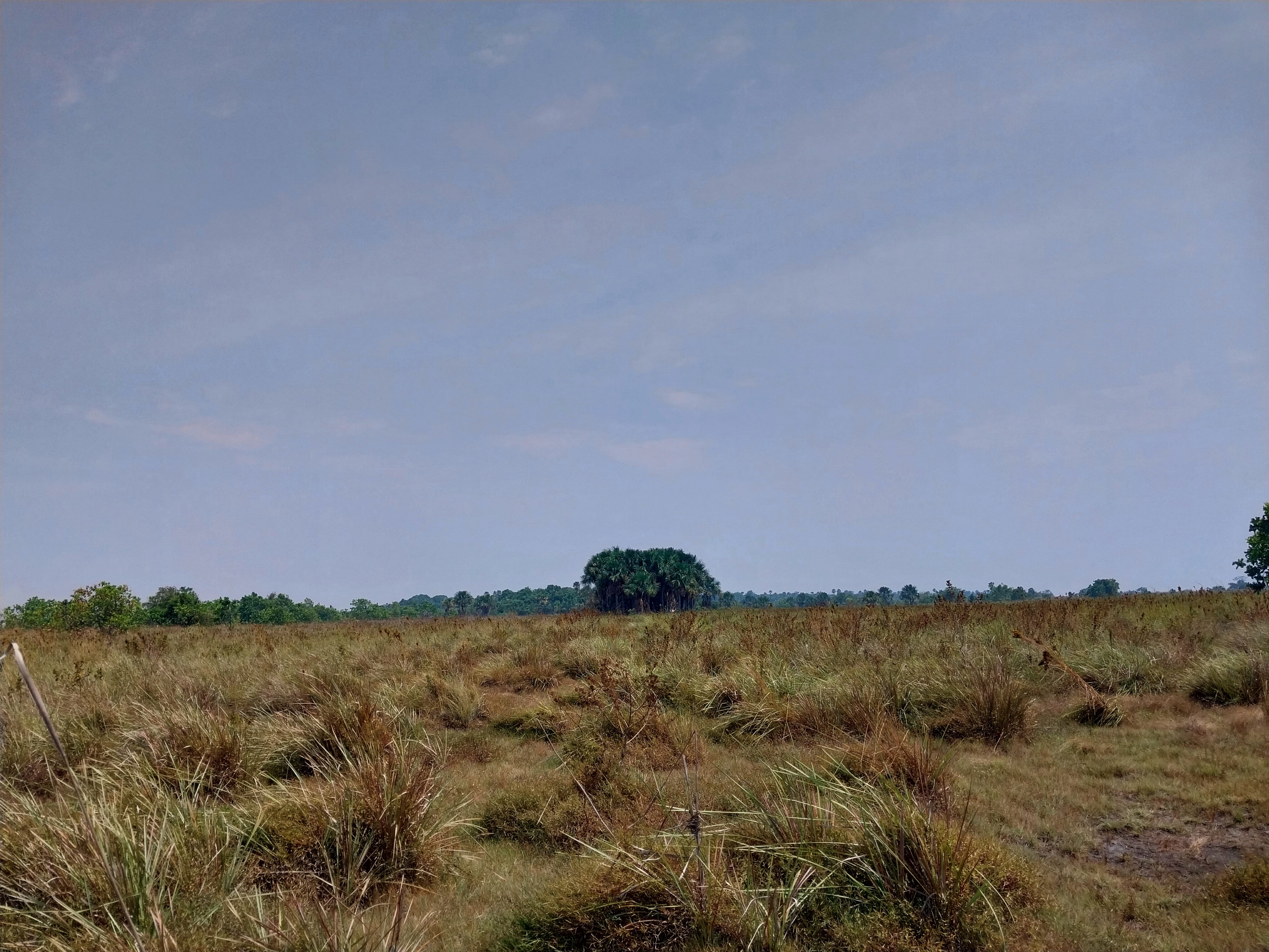 Tierras de Mojo Paya.