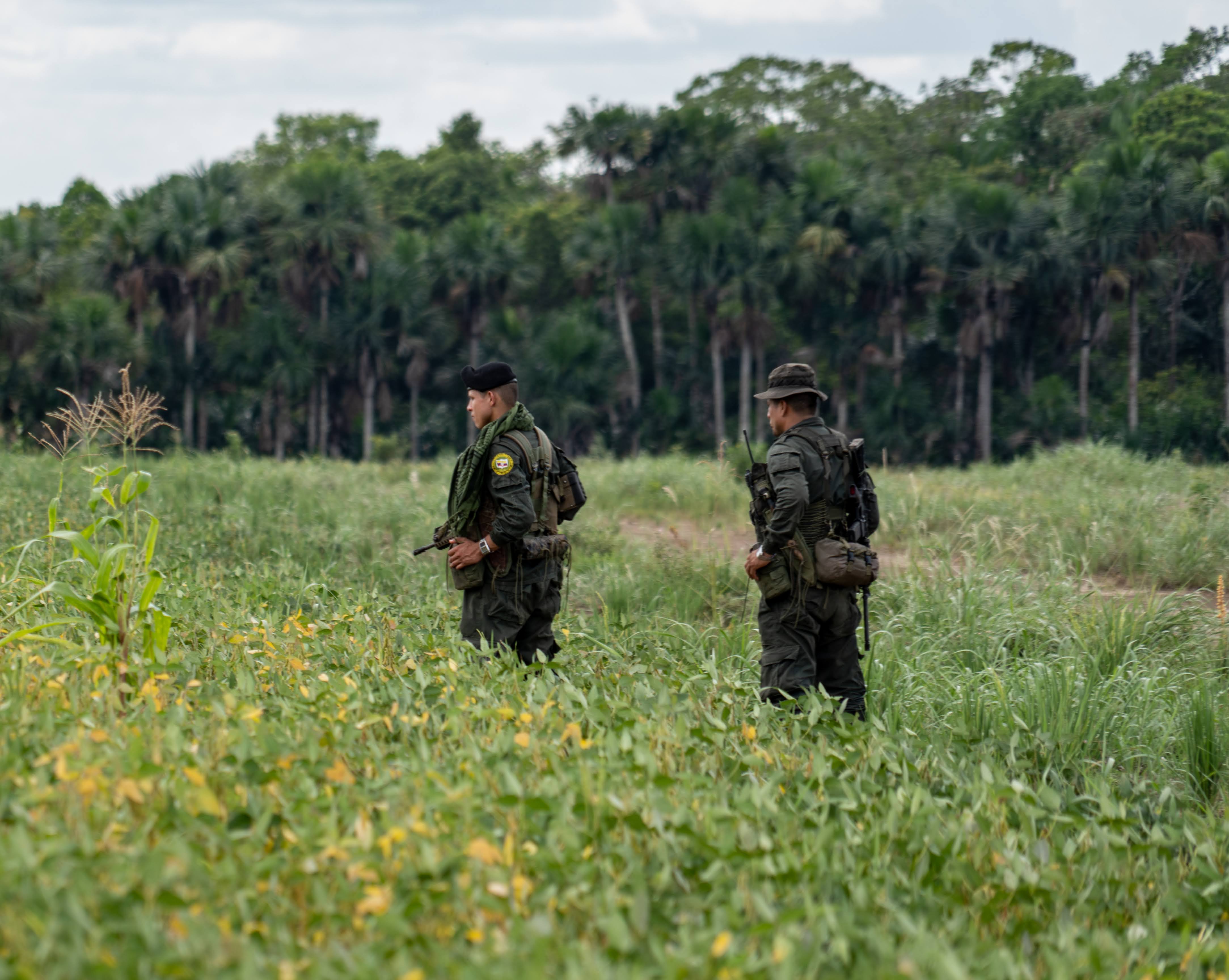 Paz Total: Lo que debe saber sobre las Zonas de Ubicación Temporal para los grupos armados