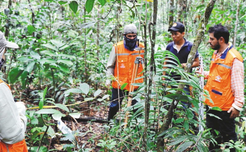 Primera expedición forestal caminando los bosques colombianos