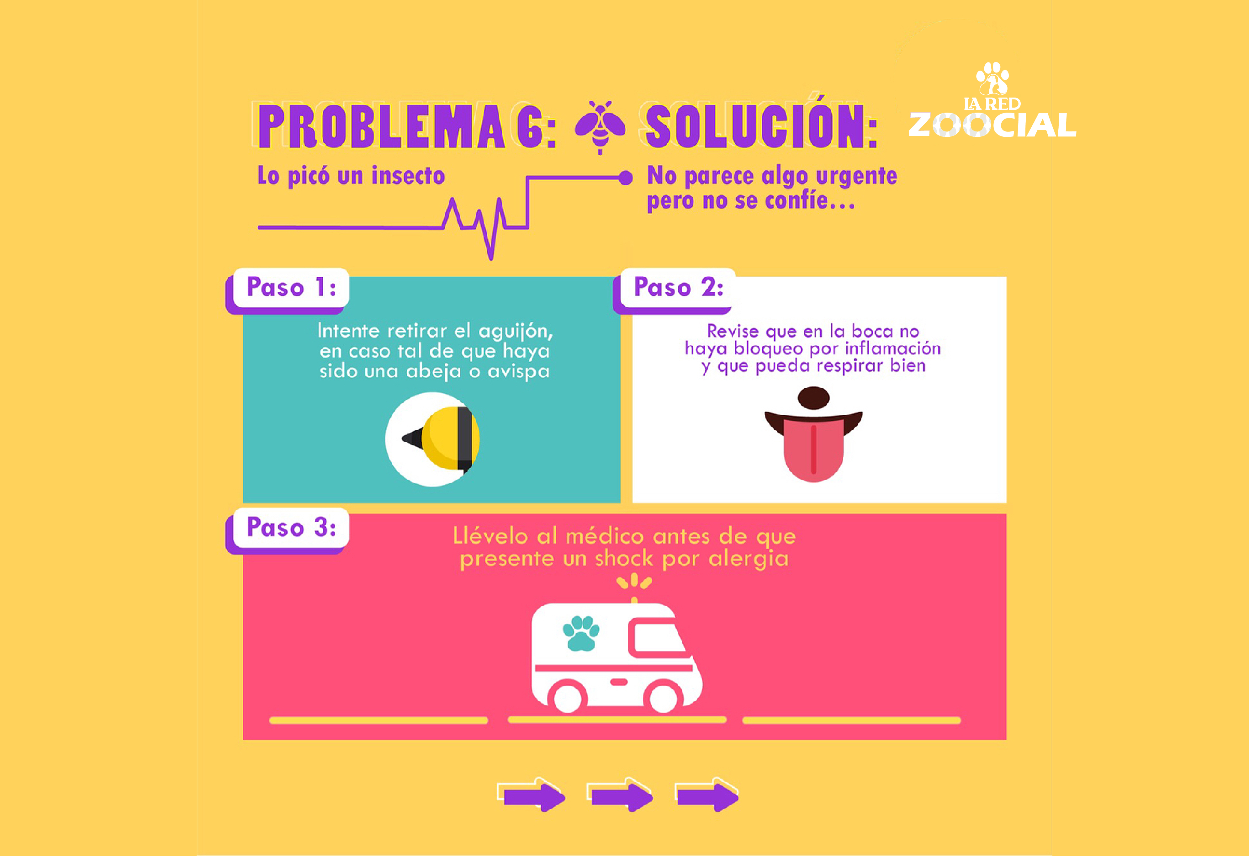 Primeros auxilios para animales
