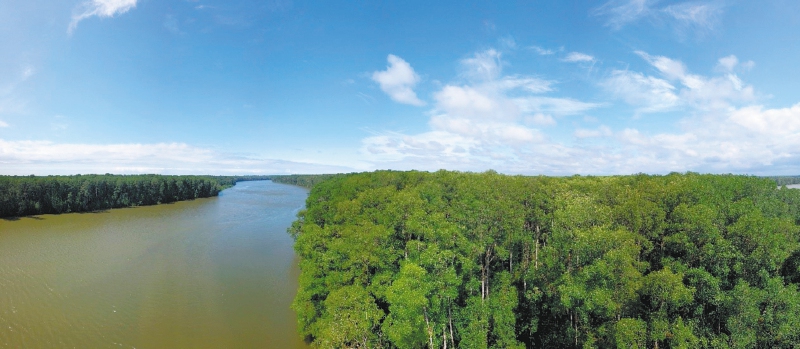 Cuidar este bosque es clave por los beneficios naturales que ofrece y la cantidad de carbono que guarda, un as para luchar contra el calentamiento global. 