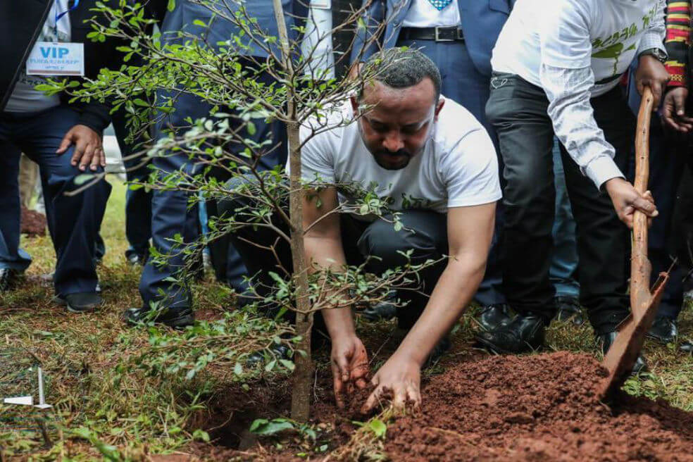Etiopía rompe récord al plantar 350 millones de árboles en un día