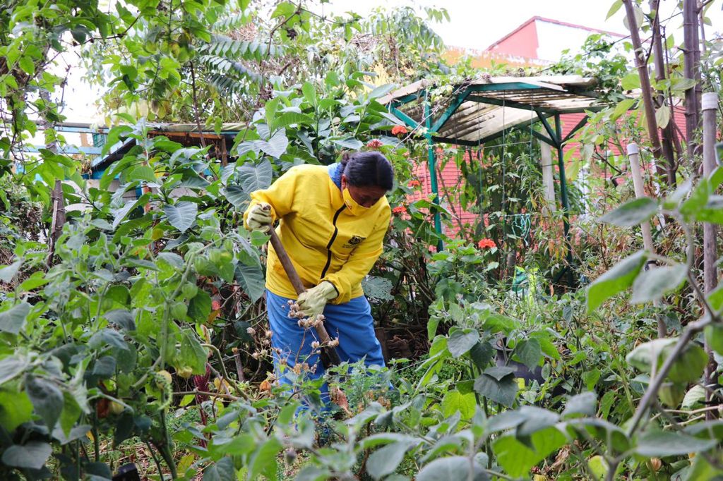 El acceso a los beneficios estará condicionado a la asistencia a los cursos de agricultura y huertas urbanas de por lo menos el 50 % para acceder a la asistencia técnica y del 80 % para acceder a la entrega de insumos.