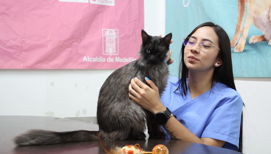 Bienestar animal, una de las prioridades de la actual administración de Medellín