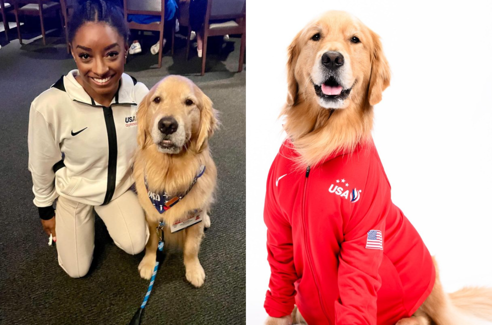 Hospitalizan a Beacon, el famoso perro de terapia del equipo de gimnasia de EE. UU