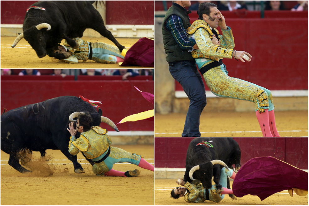 Torero tuerto por cornada de un toro volvió a ser embestido en una corrida en Zaragoza