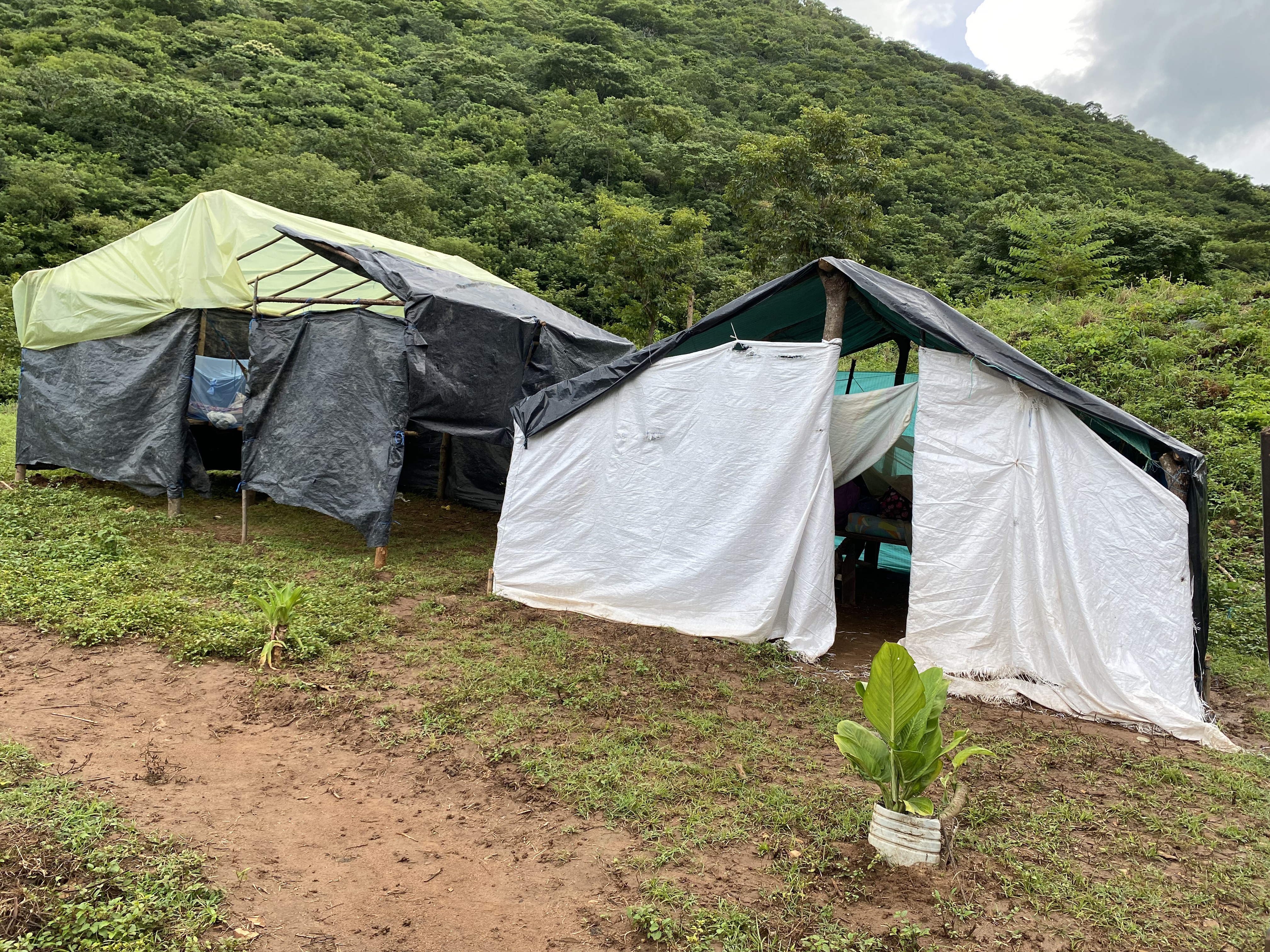 En carpas, así completan más de 90 días viviendo las familias de la vereda Pitalito en Chimichagua (Cesar) desde que llegaron para intentar recuperar sus tierras.
