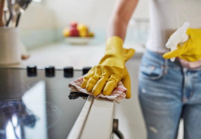 ¿Cómo evitar que aparezcan cucarachas en mi casa?
