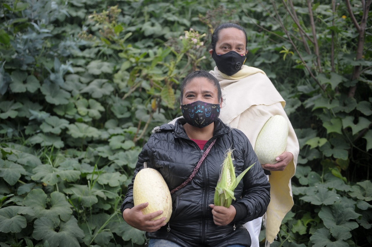 Mujeres que defienden la soberanía alimentaria en medio de la selva de cemento