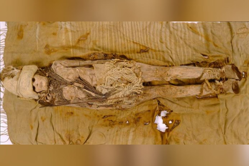 Resuelven el misterio de la sustancia que fue untada en momias de hace 3.600 años
