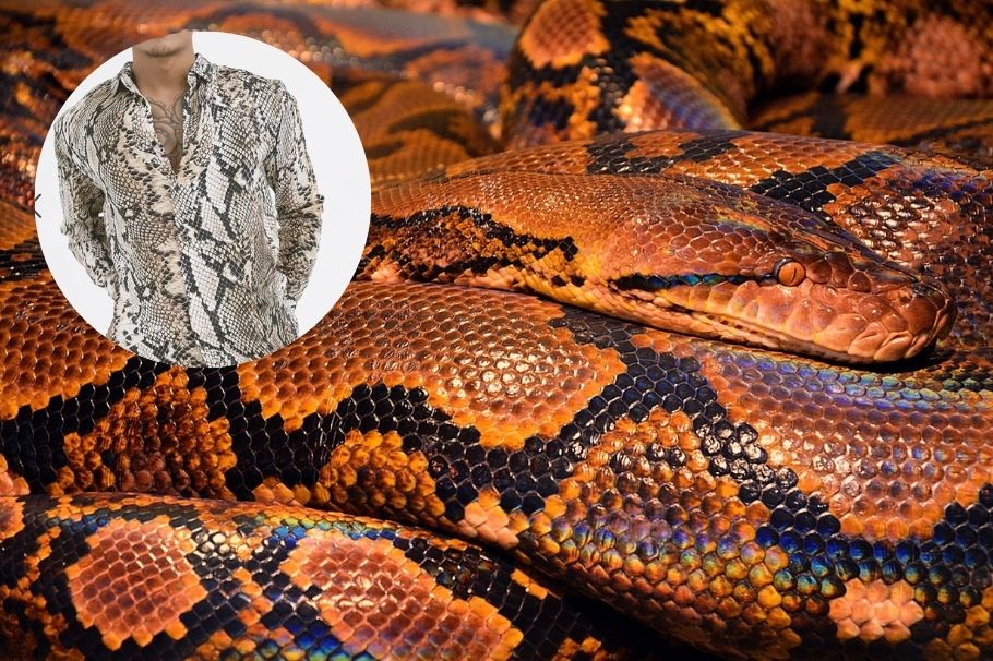Piel de serpiente
